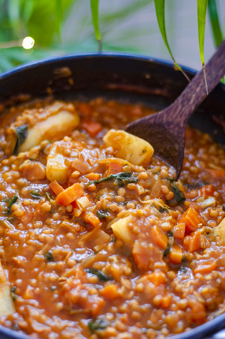 Estofado de lentejas al curry, una receta vegetariana fácil, rápida.