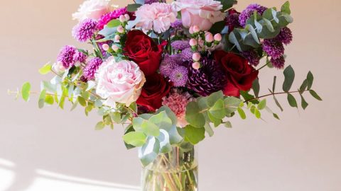 codigo-descuento-colvin-ramos-flores-domicilio